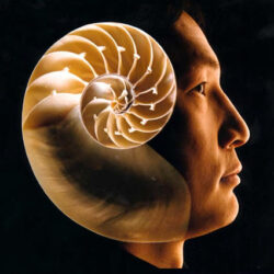 Eugene Tssui Associated Architects